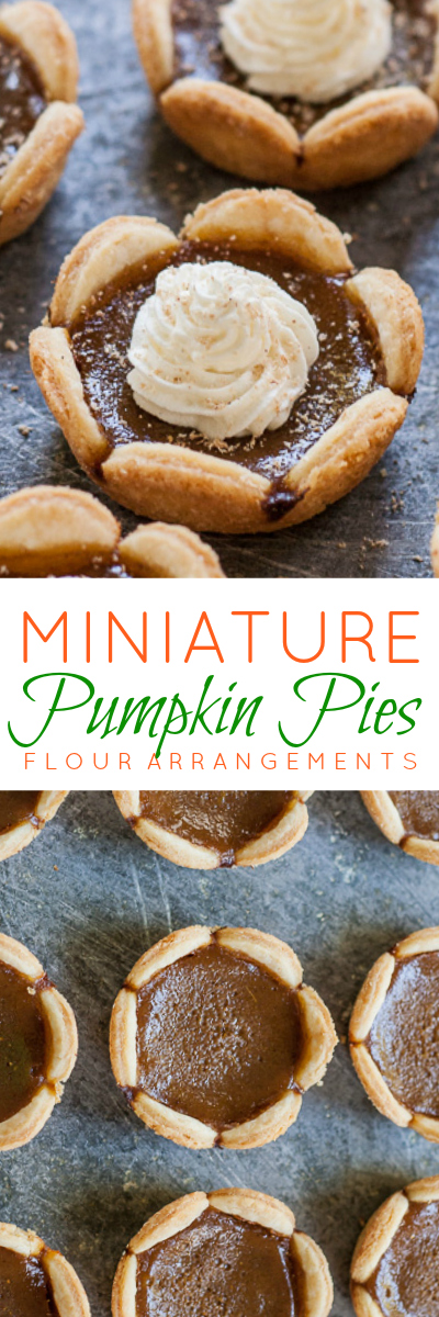 Tiny Pumpkin Pies simplify serving dessert. Deeply spiced smooth pumpkin filling gets extra depth and flavor from caramelized brown sugar as well as molasses.