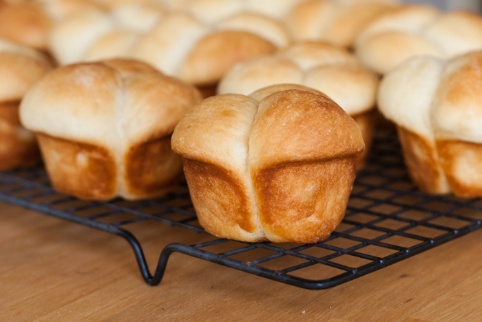 Buttermilk Dinner Rolls | Flour Arrangements