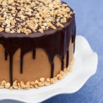 Peanut-Butter-Chocolate-Cake