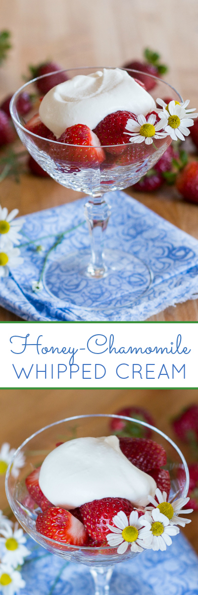 With a delicately sweet herbal flavor, this easy-to-prepare Honey-Chamomile Whipped Cream tastes spectacular atop just about any kind of summer fruit. A perfect summer topping recipe.