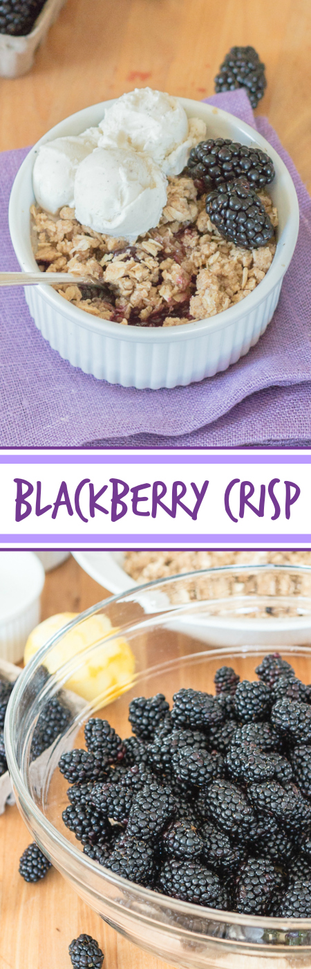 With minimal prep required, this blackberry crisp recipe makes summer baking a breeze. Its sweet berry flavor and hint-of-spice oatmeal-streusel topping taste amazing oven-warm with rich vanilla ice cream.