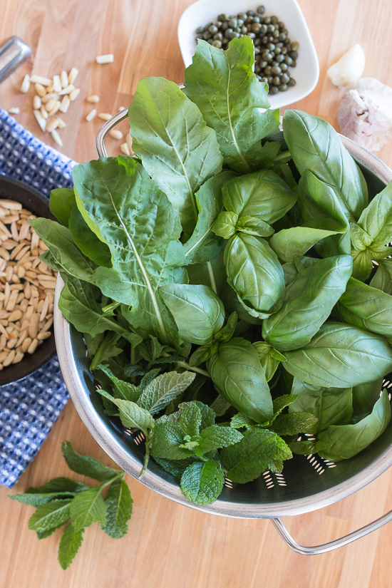 A departure from traditional basil pesto, this arugula-basil pesto blends spicy arugula, sweet basil, and fresh mint to create a unique summer recipe. Pine nuts, slivered almonds, garlic, and capers round out the flavors in this easy, versatile sauce. 