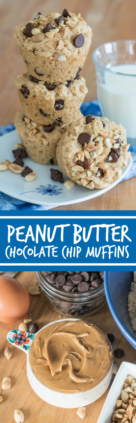 Nutty goodness and rich chocolate make a perfect match in these peanut butter chocolate chip muffins. This quick, simple recipe produces a satisfying, protein-packed snack or breakfast treat.