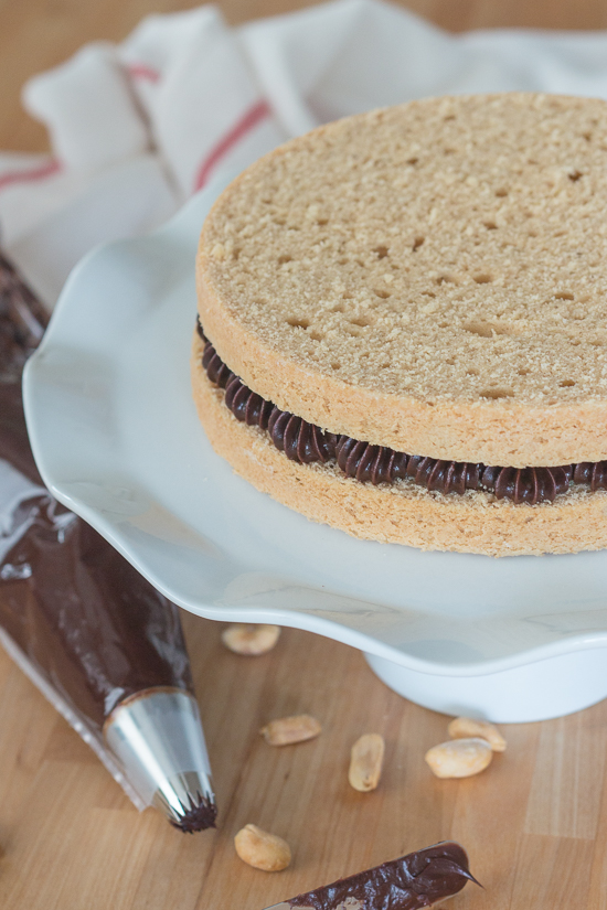 Sweet, nutty cake layers interspersed with a decadent ganache come together in this peanut butter cake with chocolate ganache. Indulgent and flavorful, this cake is a peanut butter lover's dream.