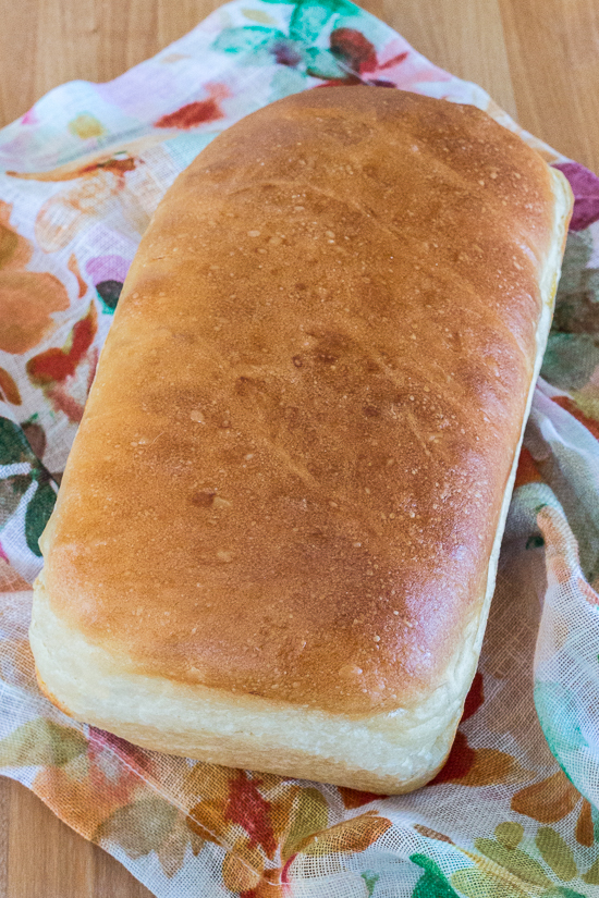 With a glossy golden crust and creamy white interior, this Classic Sandwich Bread is tender and silky yet sturdy enough for piling high with cold cuts, veggies, and spreads or grilling with your favorite cheese.