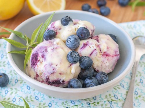 Lemon blueberry swirl ice cream close up