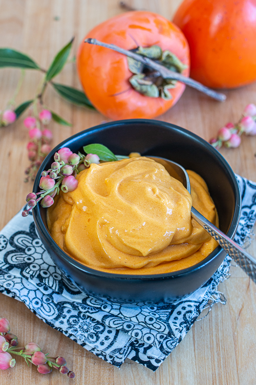 Ready to enjoy in minutes, this Persimmon Ice Cream delivers a sweet, soft serve treat full of distinctive persimmon flavor.