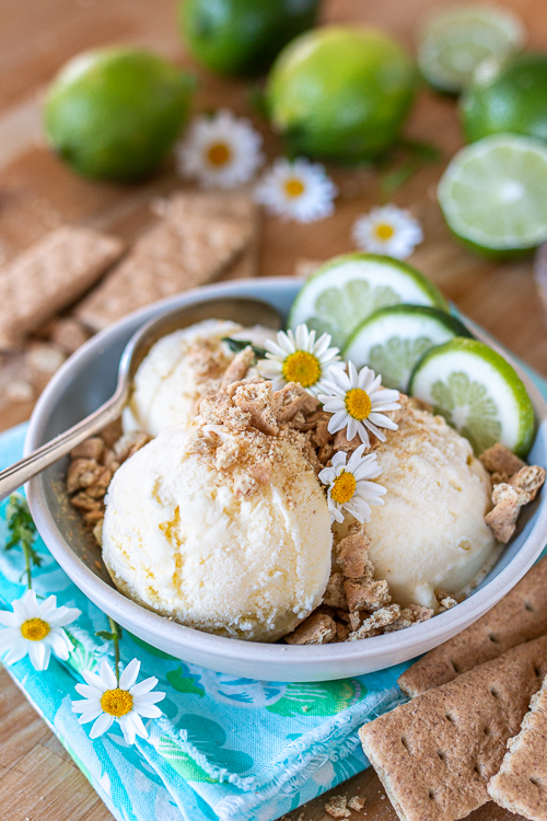  This sweet and tangy Lime Ice Cream makes a super refreshing treat. Topped with crumbled graham crackers, it's reminiscent of Key Lime Pie!